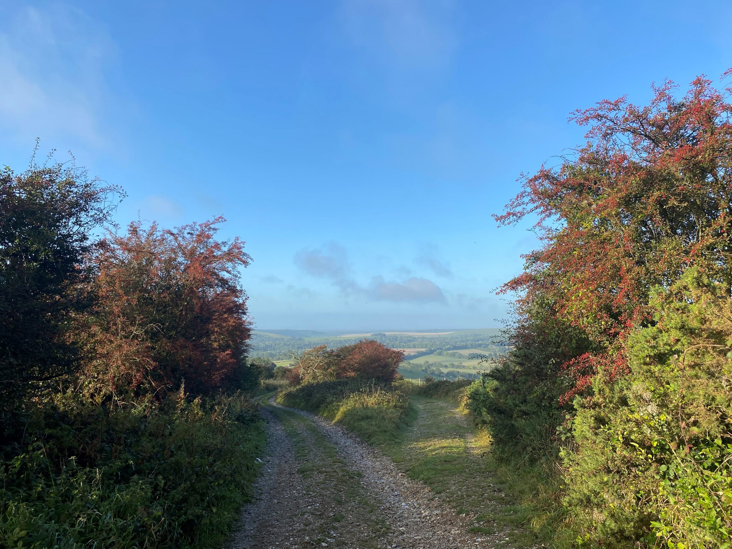 Berries Autumn View at Wiston