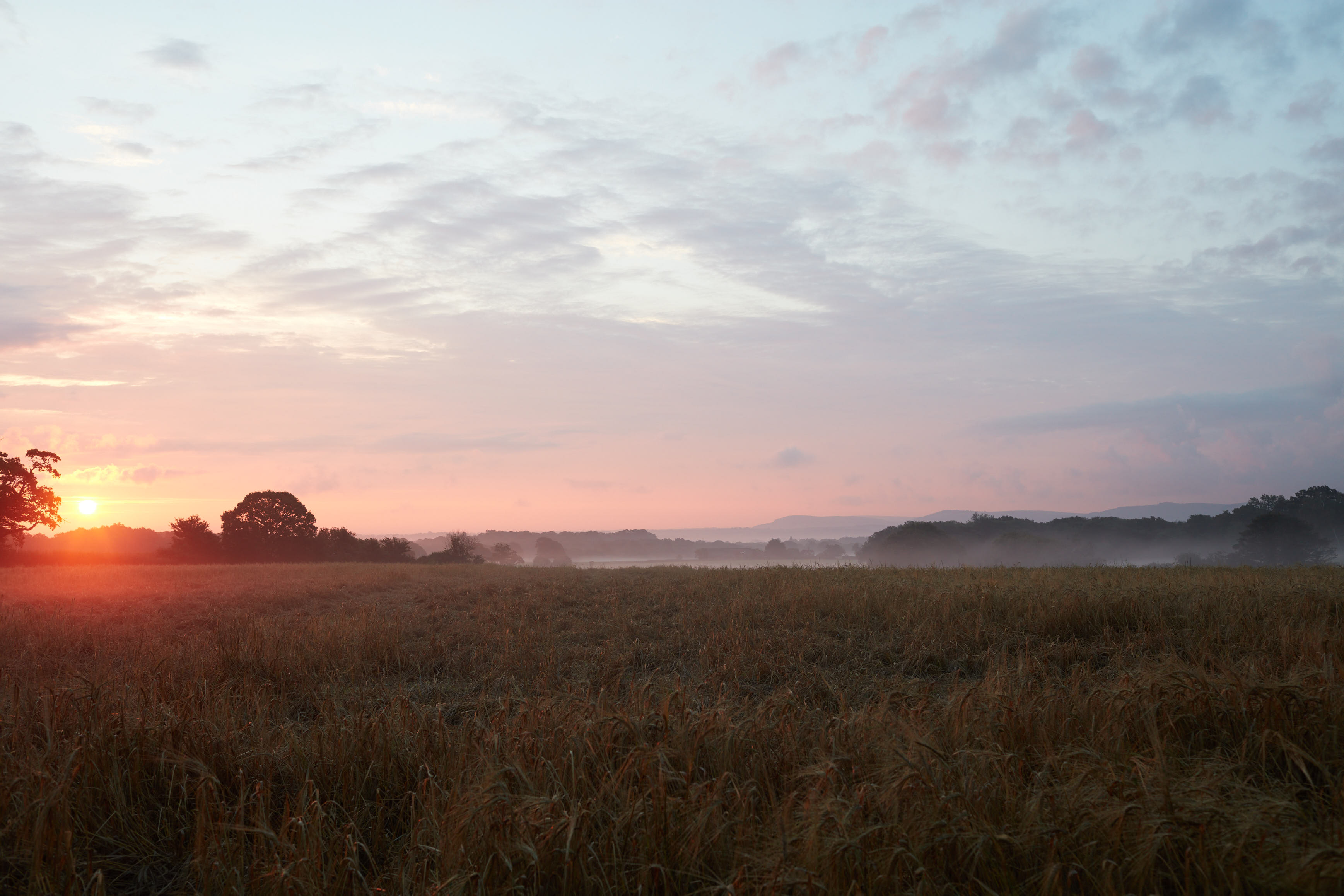 Christmas Messages from the Estate | Wiston Estate
