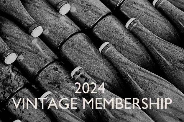 The Vintage Membership, Wiston Wine Club, dusty wine bottles, West Sussex vineyards