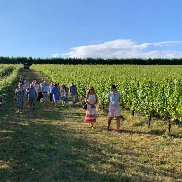 Wiston Safari Tour