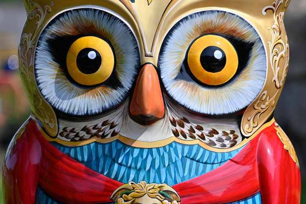 The Big Hoot is here!