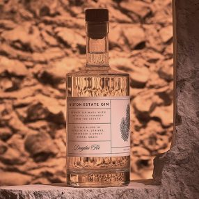 Wiston Gin 2024