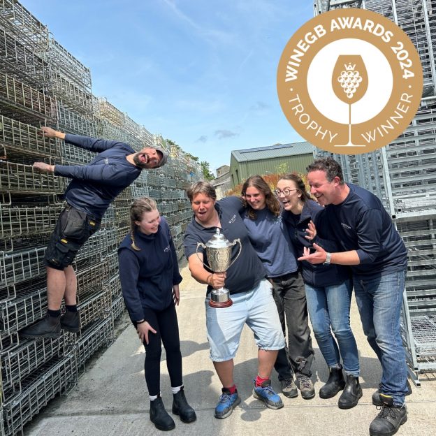 WineGB Award Sparkling Wine - Goring family WineGb Awards - Vineyards in Sussex, West Sussex Vineyards, wine tasting experiences, English sparkling wines, vineyard tours uk, wine estate Sussex, Sussex wineries