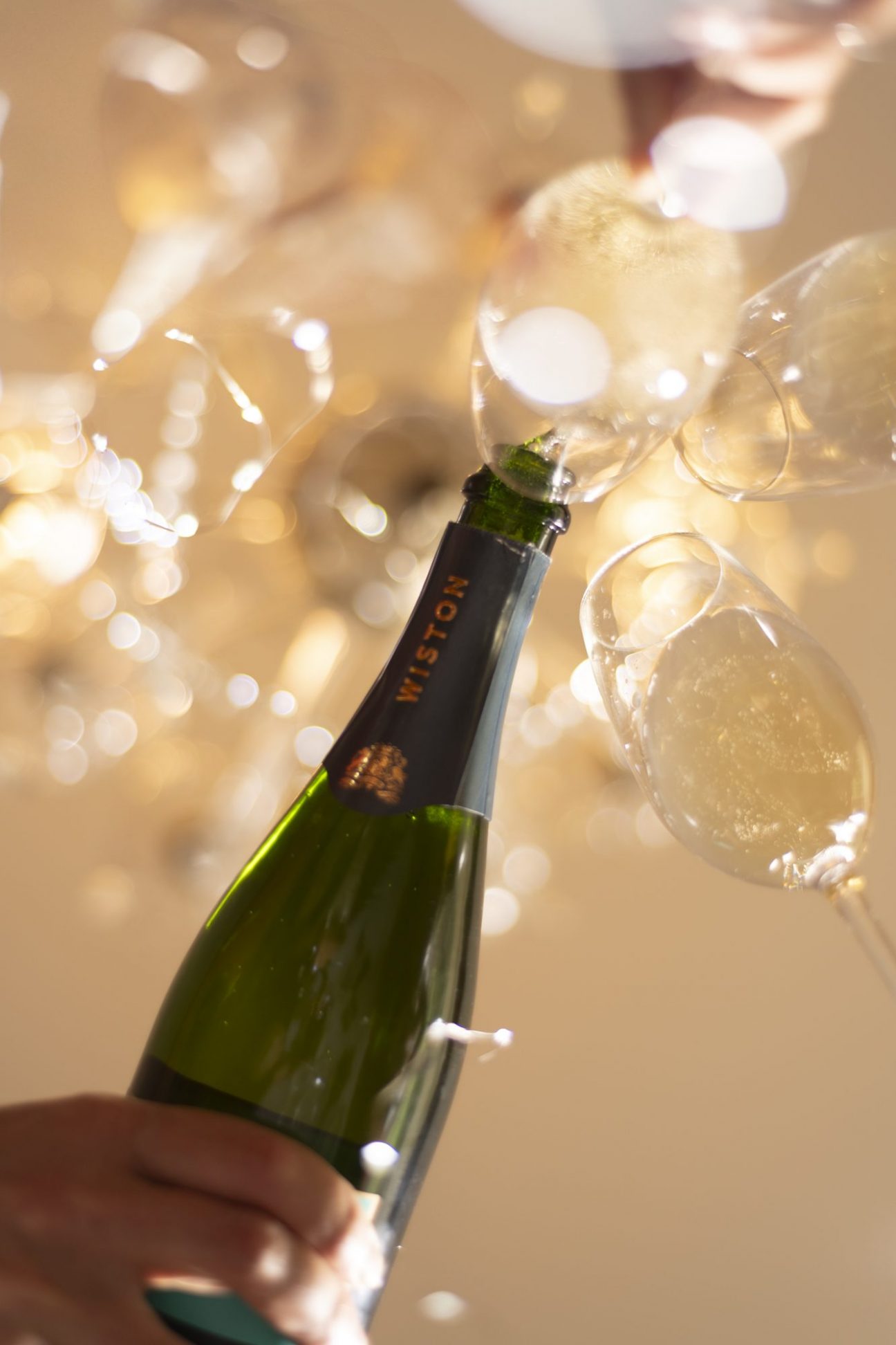 Wiston wine - Sparkling Wines, English Sparkling Wines, Vineyards in West Sussex, Sussex wineries, wine tours, vineyards in Sussex,wine estate Sussex