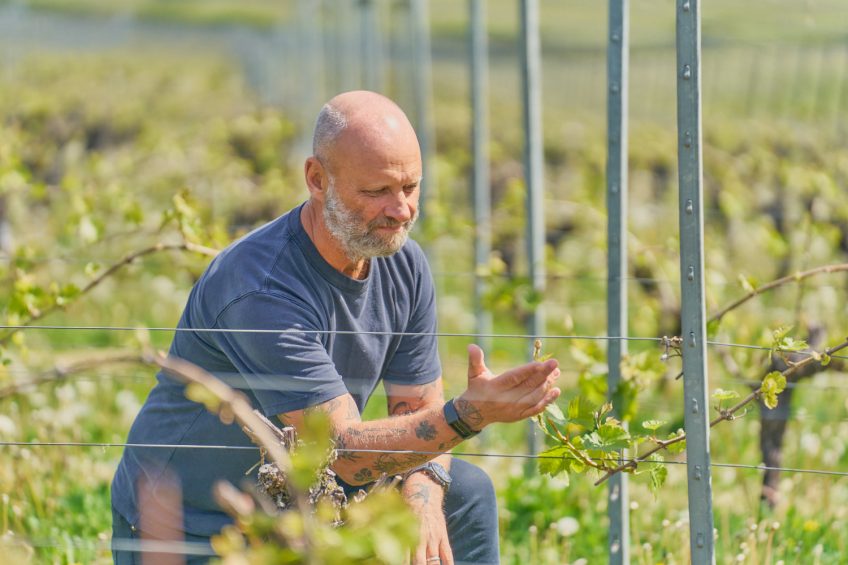 Simon Rogan and Wiston Estate Collaboration