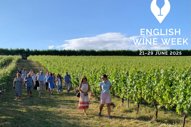 Wiston Estate - Award Winning English Sparkling Wine