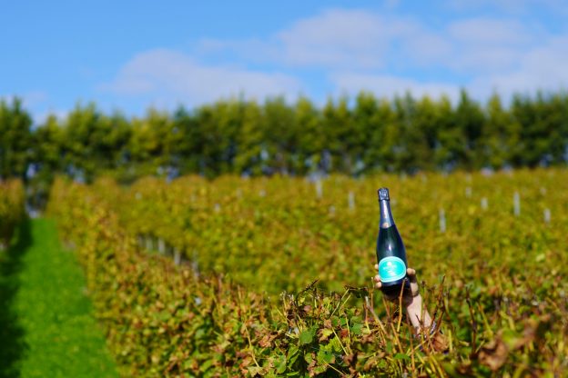 Wiston Estate - Award Winning English Sparkling Wine