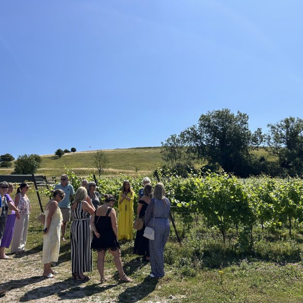 Wiston Estate - Award Winning English Sparkling Wine