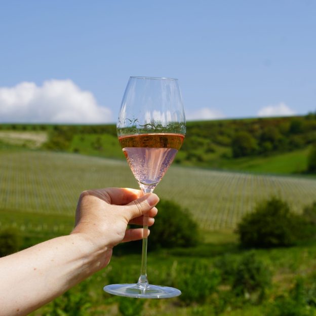 Wiston Estate English Sparkling Wine, Rosé