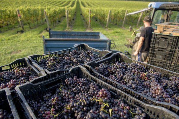 Wiston Estate Harvest winemaker dinner
