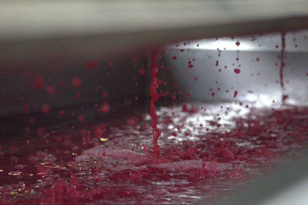 From Vine to Glass: The Steps to Making Sparkling Wine