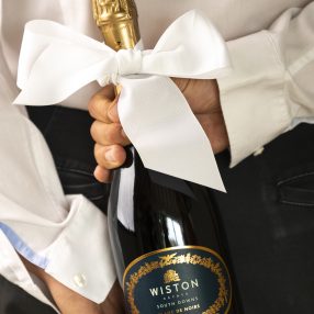 Wiston Estate Blanc de Noir 2018, english sparkling wine, wine of the month, best english champagne