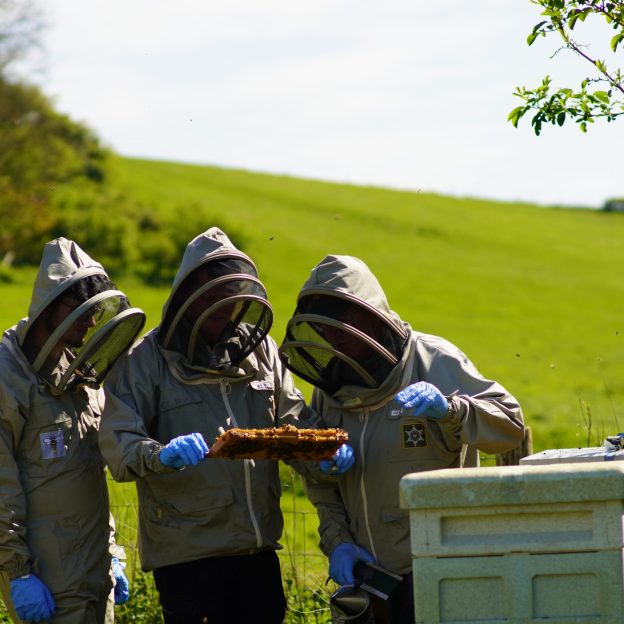 Wiston Estate - Award Winning English Sparkling Wine