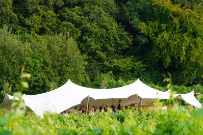 20 Years In The Vines Party