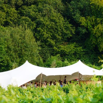 20 Years In The Vines Party