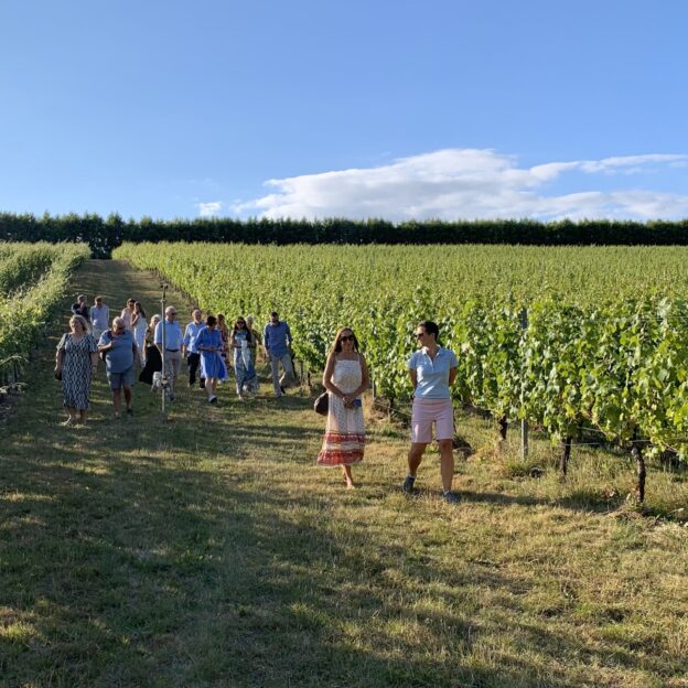 Wiston Estate - Award Winning English Sparkling Wine