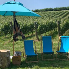 Wiston Estate - Award Winning English Sparkling Wine