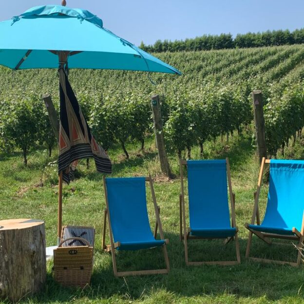 Wiston Estate - Award Winning English Sparkling Wine