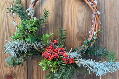 Willow Wreath Workshop