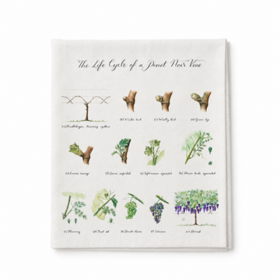 Wiston Tea Towel