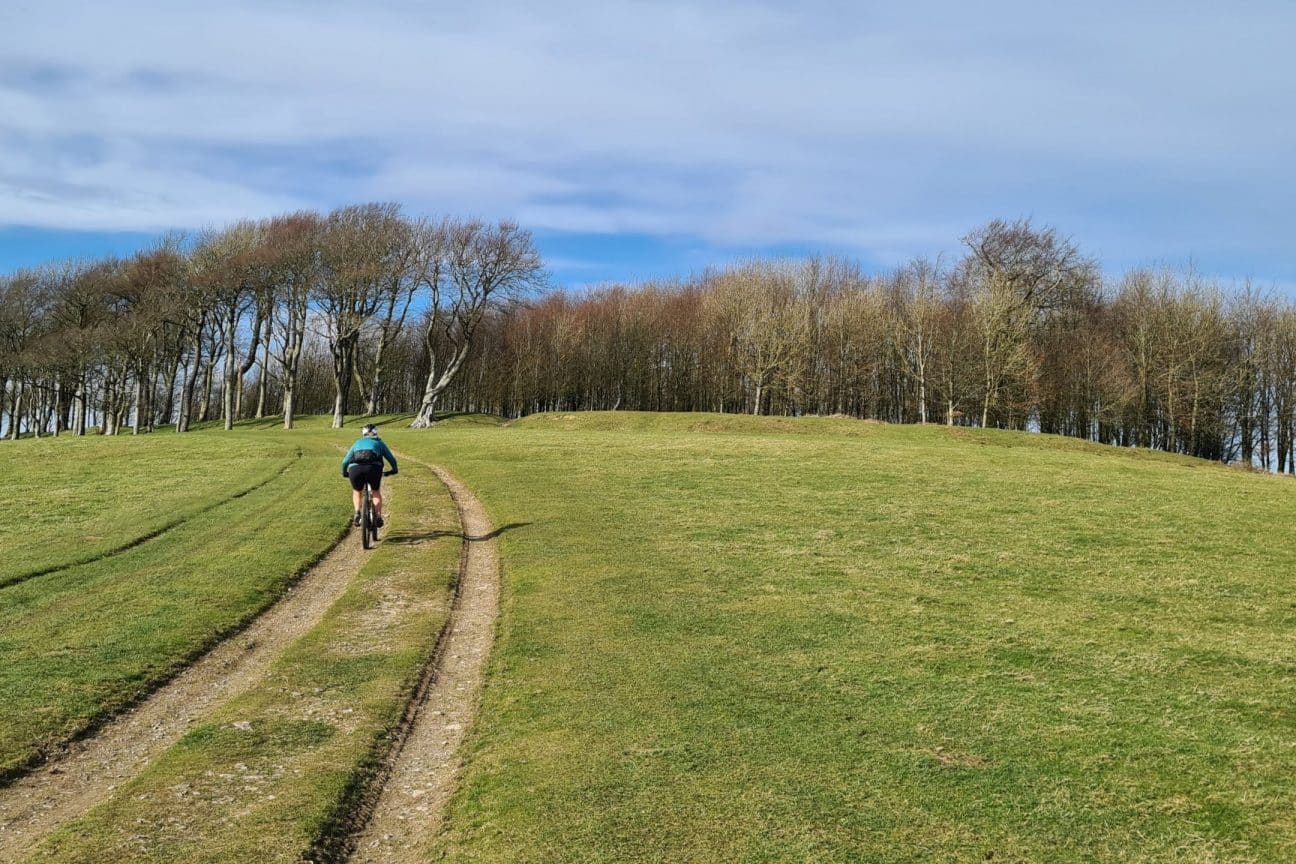 OffRoad Bike Tour & Lunch Buy English Sparkling Wine Wiston Estate