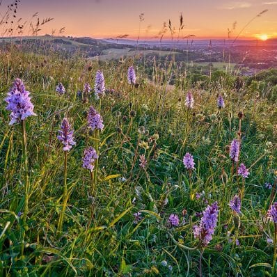 Landscape & Nature Tours