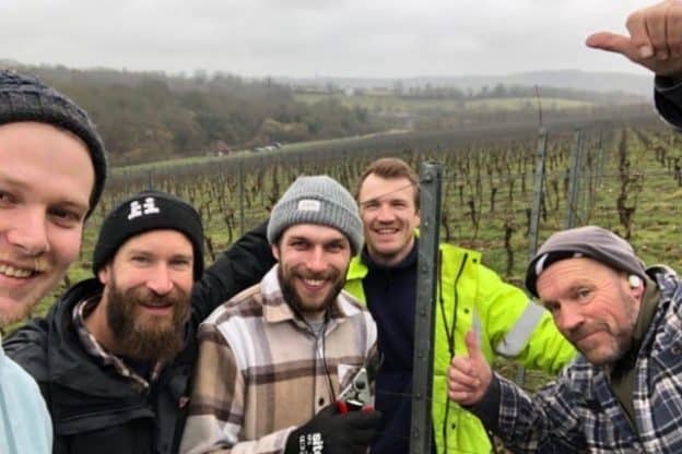 The vineyard team, West sussex