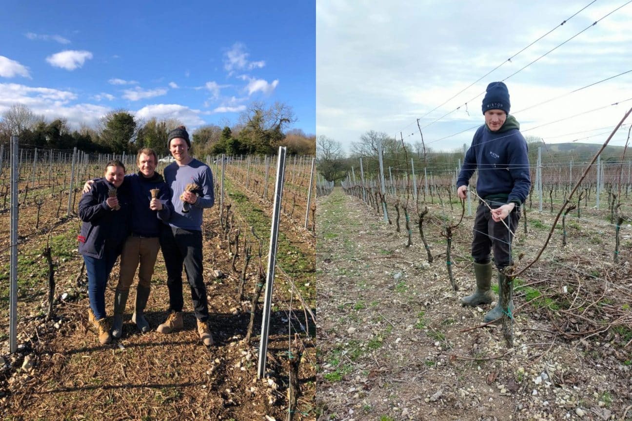 vineyard team pruning winter 2023