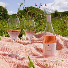 english wine, english still wine, rosé wine, vineyards in sussex, wine tours, west sussex vineyards,